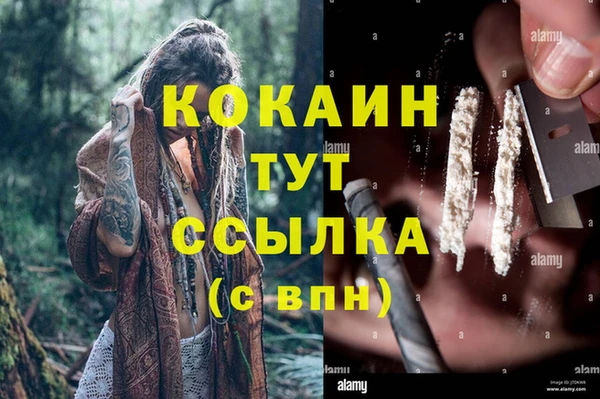 гашик Каменск-Шахтинский