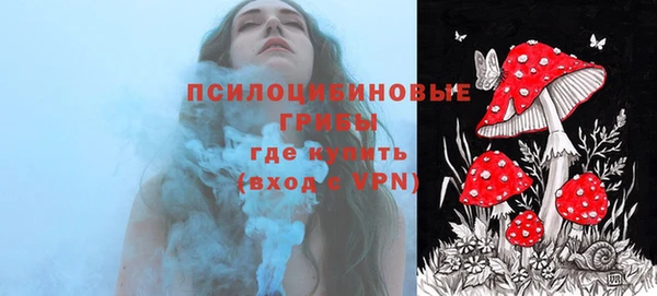 гашик Каменск-Шахтинский