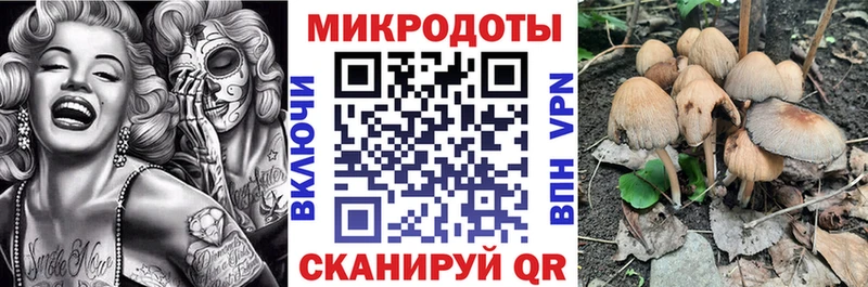 Псилоцибиновые грибы мухоморы  Купить  Дудинка 