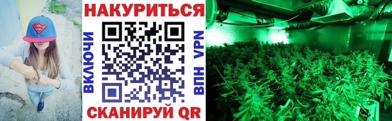 Купить где  Дудинка  Бошки марихуана OG Kush 